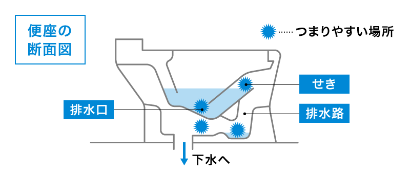 トイレ便座の断面図