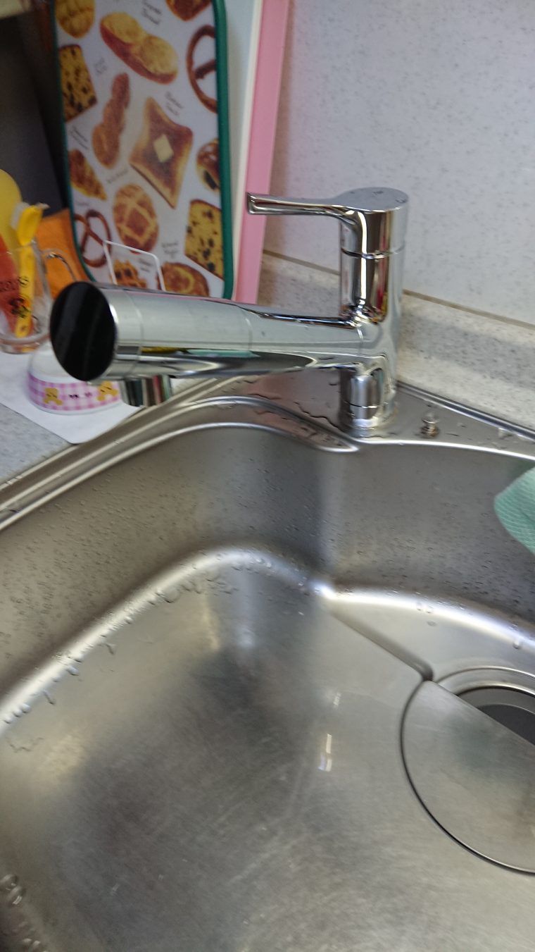 20190617_006 台所蛇口交換 千葉県千葉市若葉区:施工実績