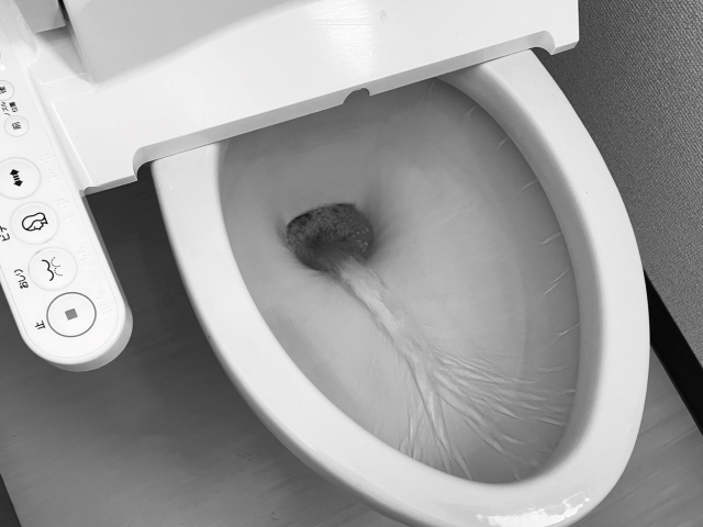 トイレの故障は自分で解決できる？症状別の原因と解決方法をプロが解説:イメージ