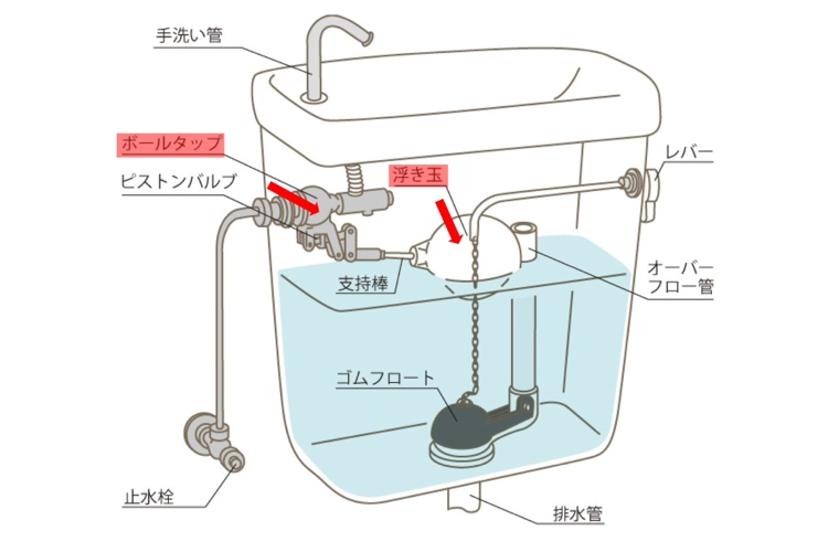 トイレ構造の解説用イラスト