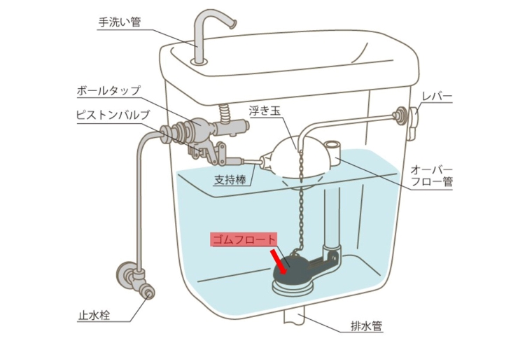 トイレ構造の解説用イラスト