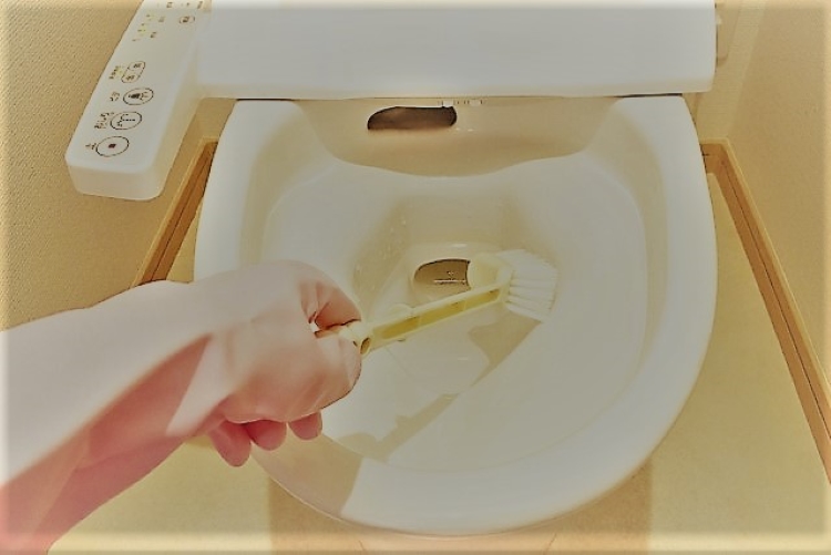 トイレをブラシで掃除する写真