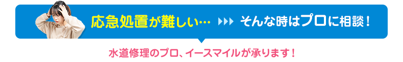 応急処置が難しいと感じたらプロに相談！