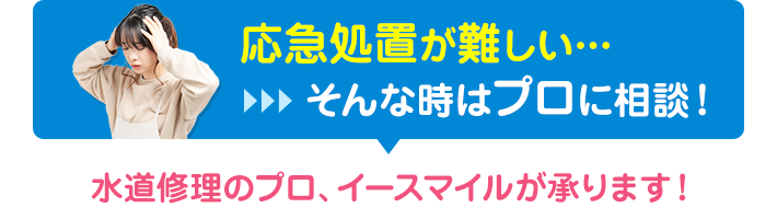 応急処置が難しいと感じたらプロに相談！