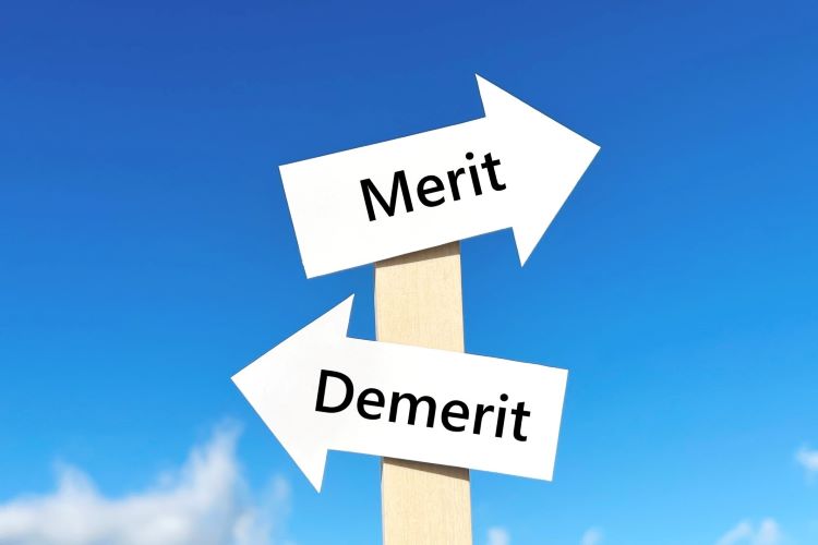 MeritとDemeritの写真