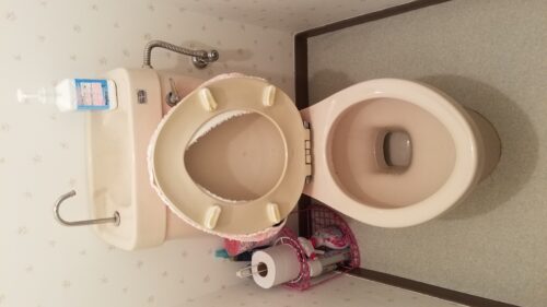 20190527_082 トイレタンク修理 埼玉県川越市:施工事例