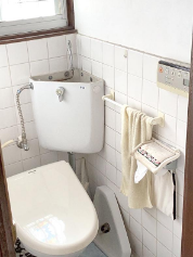 Before Image