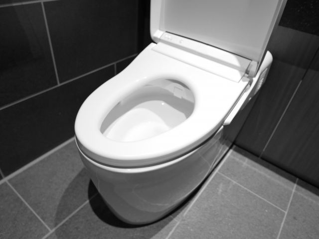 トイレの水量（水位）調整方法！水が止まらない・流れない原因と直し方を解説:イメージ