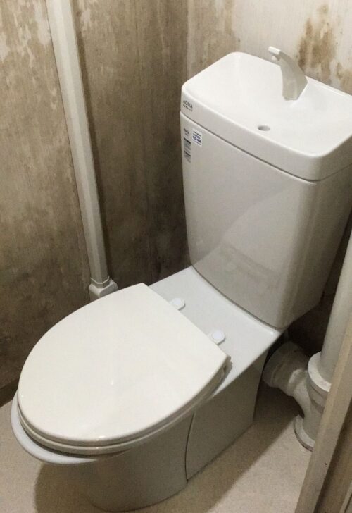 20210809_トイレ_千葉県白井市:施工事例
